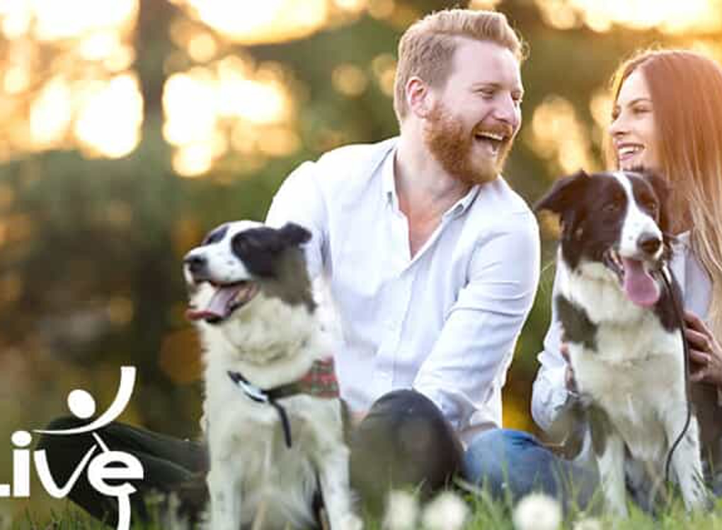 Man and woman sitting on grass with two dogs