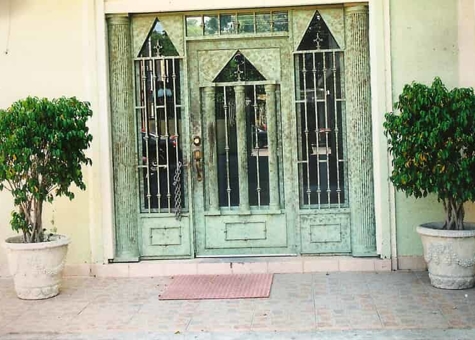 The Inspiration Behind SoLive: Our Introduction to AMYLOXINE Photo