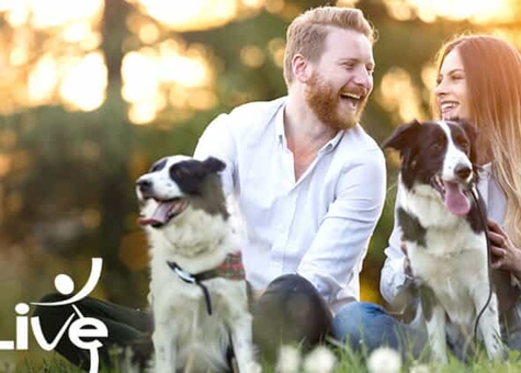 Cancer – From Fear And Chaos To Calmness And Clarity – Step 2 Photo